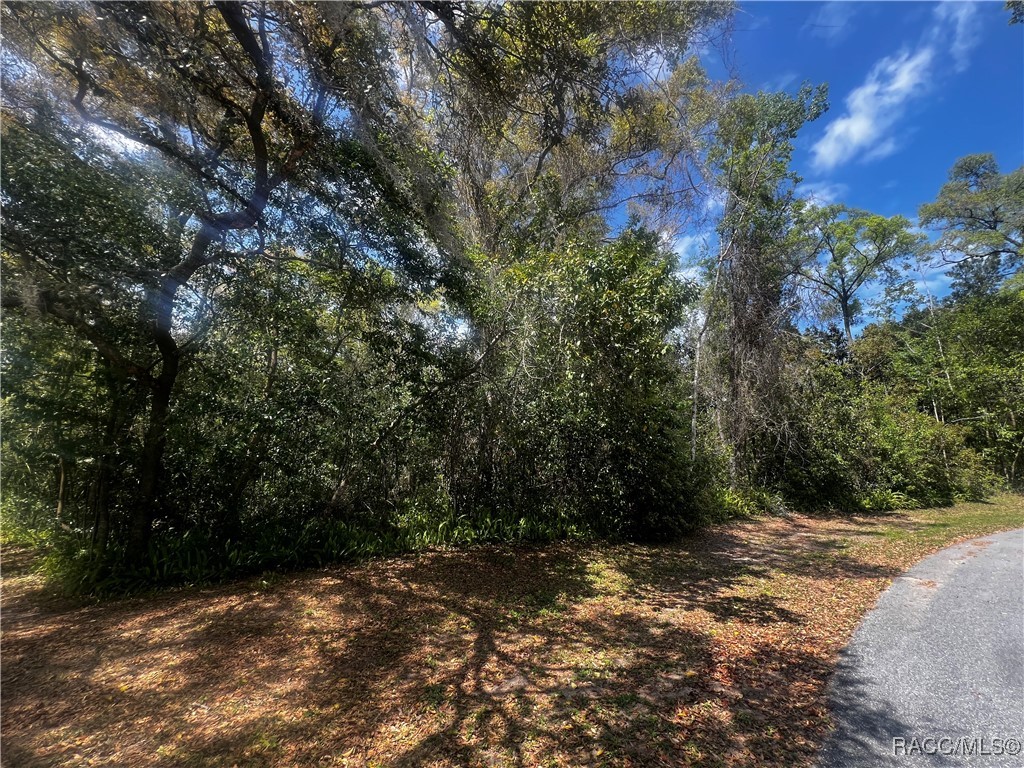 2232 W Tee Circle, Citrus Springs, Florida image 10