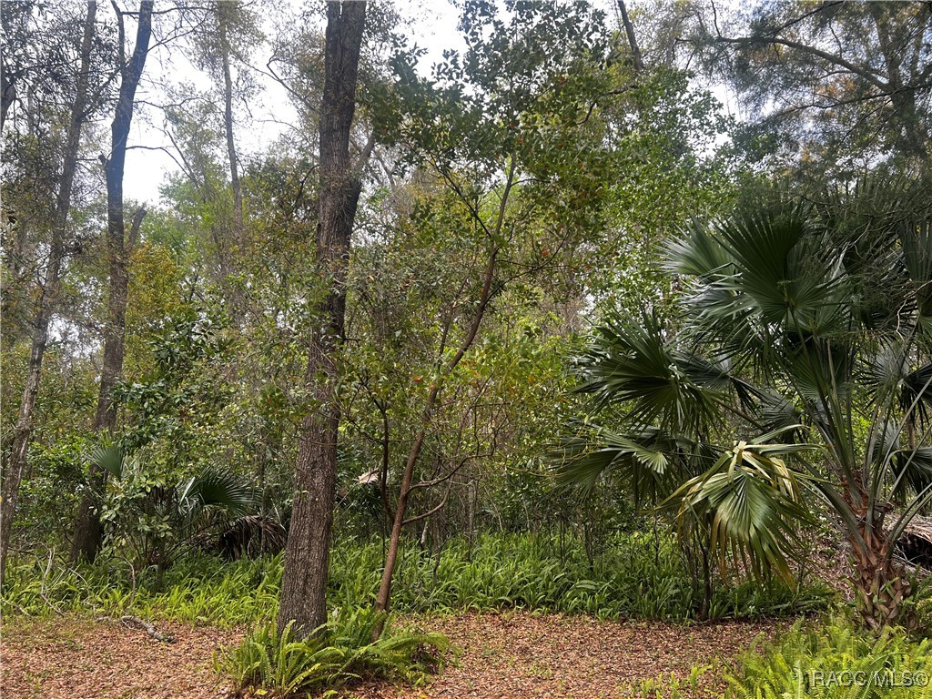 2232 W Tee Circle, Citrus Springs, Florida image 7