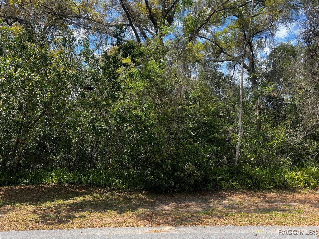 2232 W Tee Circle, Citrus Springs, Florida image 16