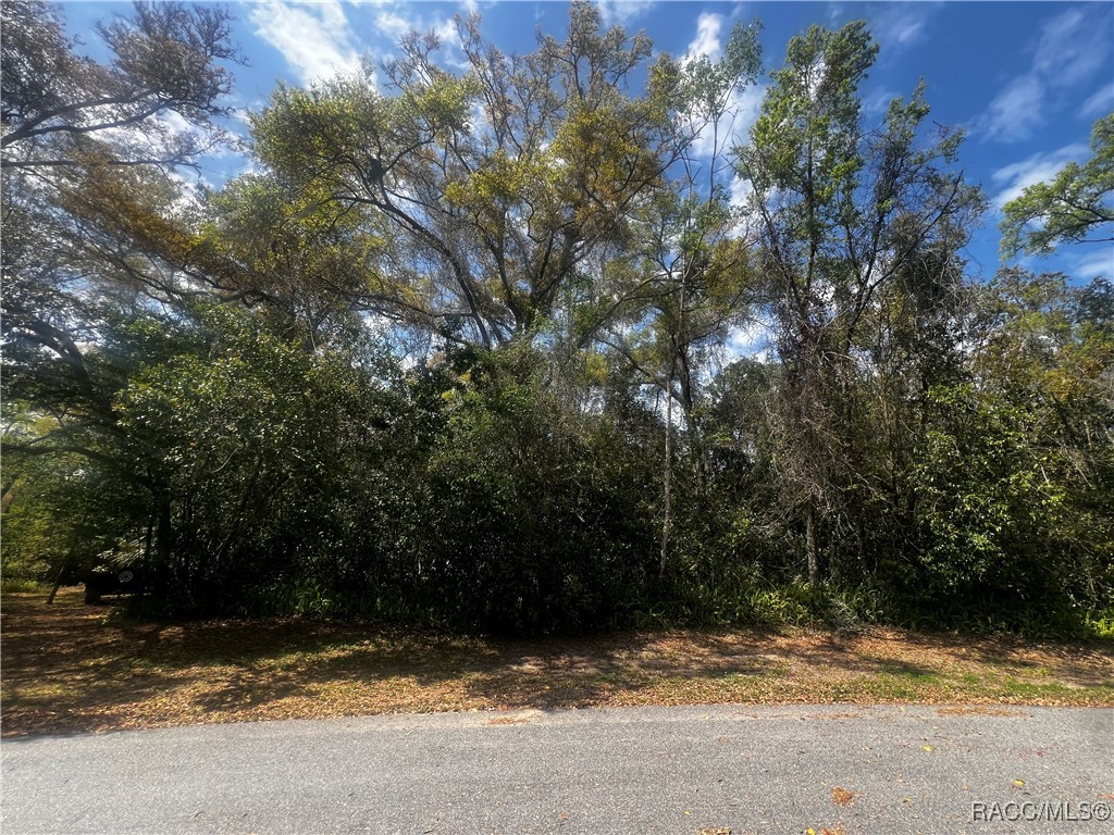 2232 W Tee Circle, Citrus Springs, Florida image 15