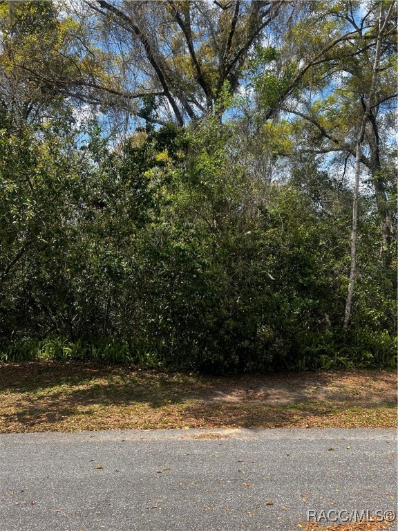 2232 W Tee Circle, Citrus Springs, Florida image 14