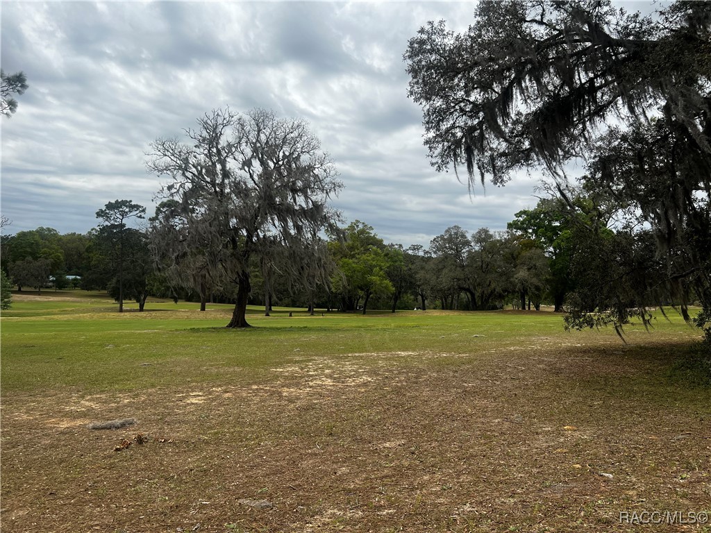 2232 W Tee Circle, Citrus Springs, Florida image 8