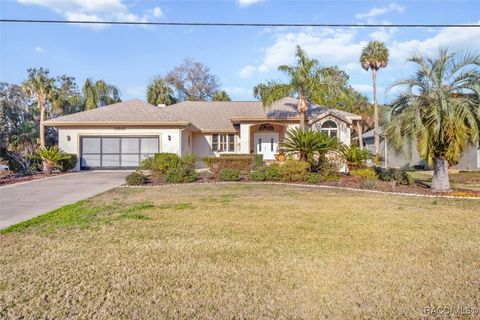 11551 W Timberlane Drive Homosassa FL 34448