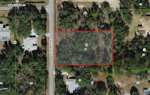 Vacant Land For Sale - 785 N Fresno Avenue<br/> Hernando, FL 34442