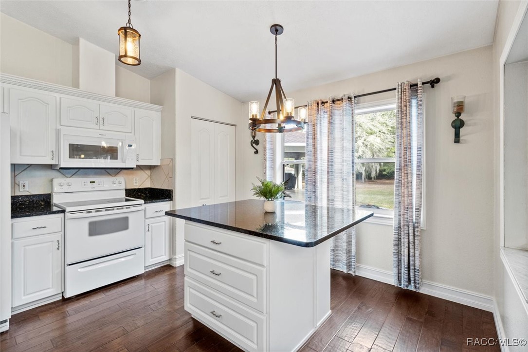 919 W Pearson Street #6N, Hernando, Florida image 6