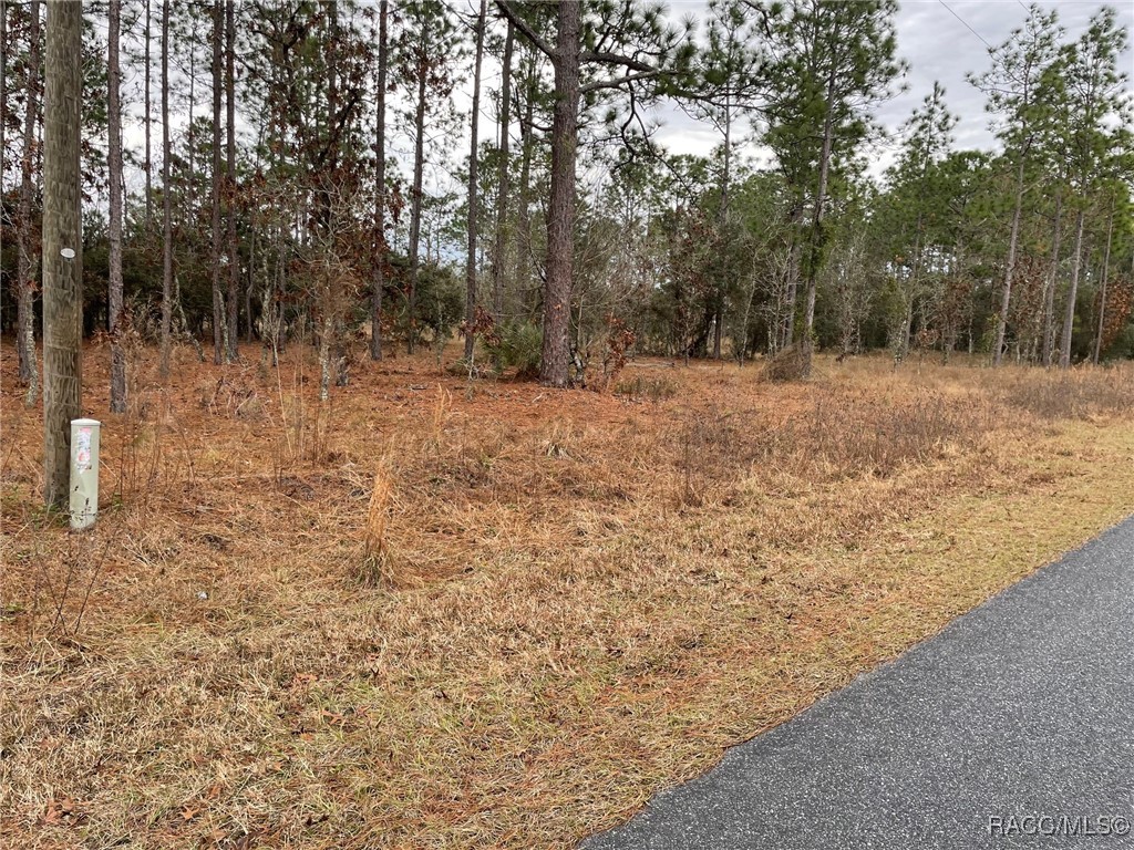 LOT 14 SE 136th Terrace, Dunnellon, Florida image 2