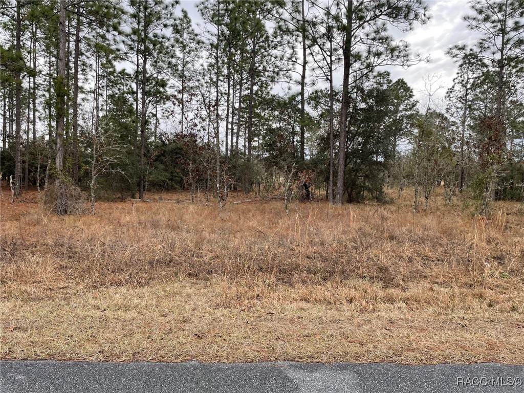 LOT 14 SE 136th Terrace, Dunnellon, Florida image 1