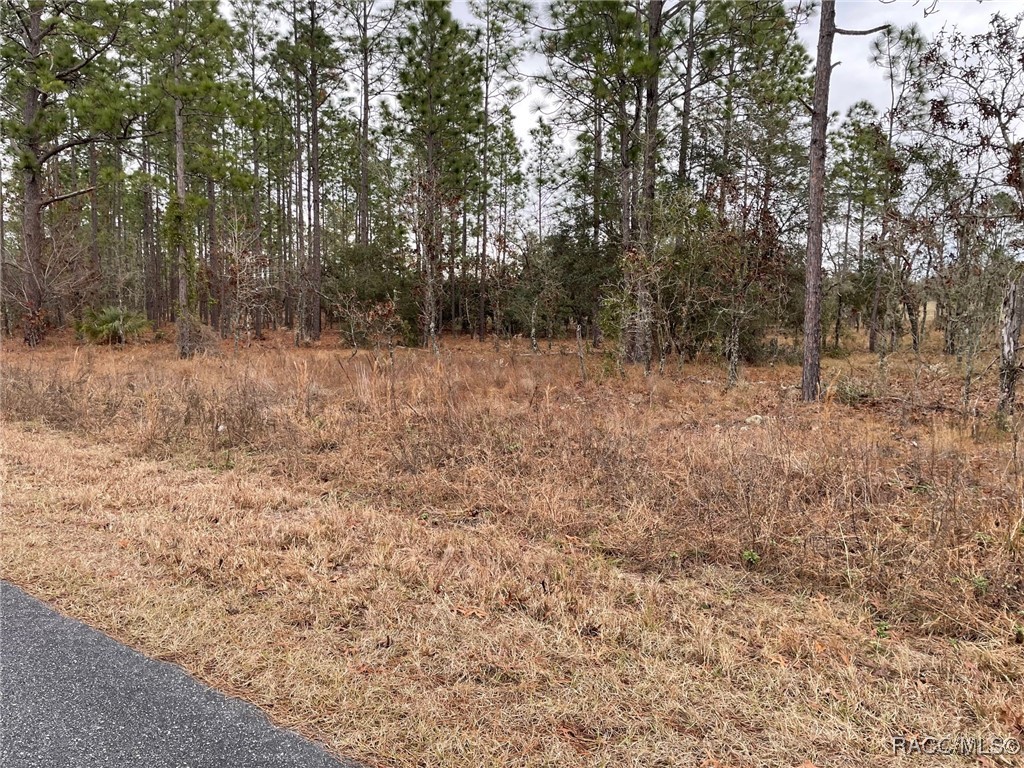 LOT 14 SE 136th Terrace, Dunnellon, Florida image 3