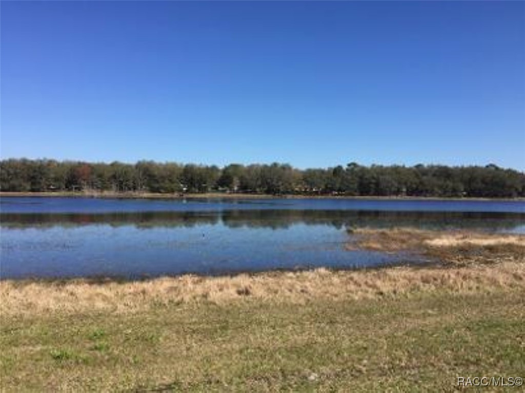 LOT 14 SE 136th Terrace, Dunnellon, Florida image 4