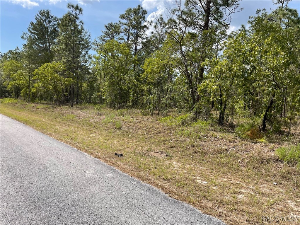 LOT 2930 SW Anchor Boulevard #LL-1, Dunnellon, New York image 3