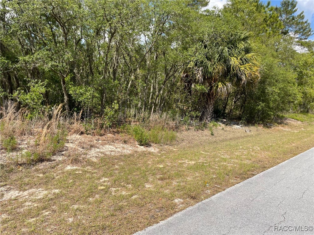 LOT 2930 SW Anchor Boulevard #LL-1, Dunnellon, New York image 2