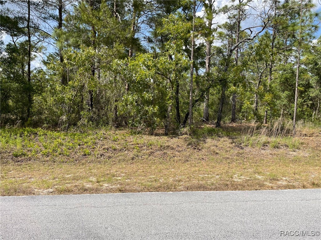 LOT 2930 SW Anchor Boulevard #LL-1, Dunnellon, New York image 1