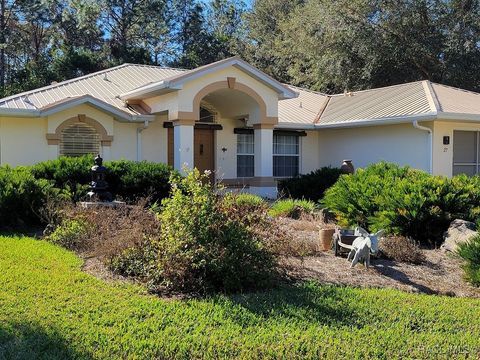 A home in Homosassa