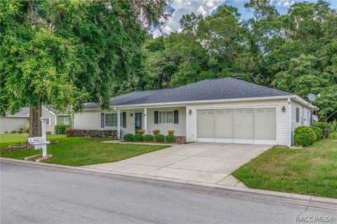 A home in Dunnellon