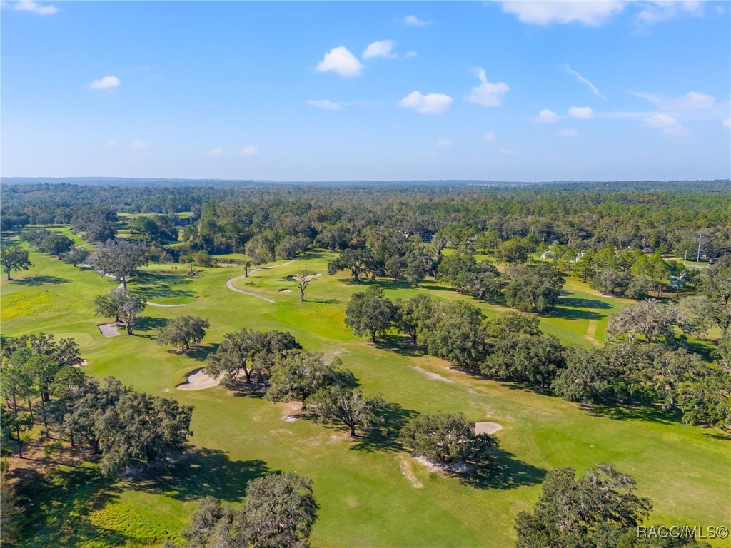 24077 Martin Drive, Brooksville, Florida image 32