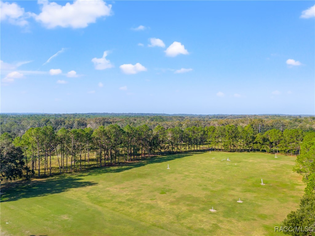 24077 Martin Drive, Brooksville, Florida image 31