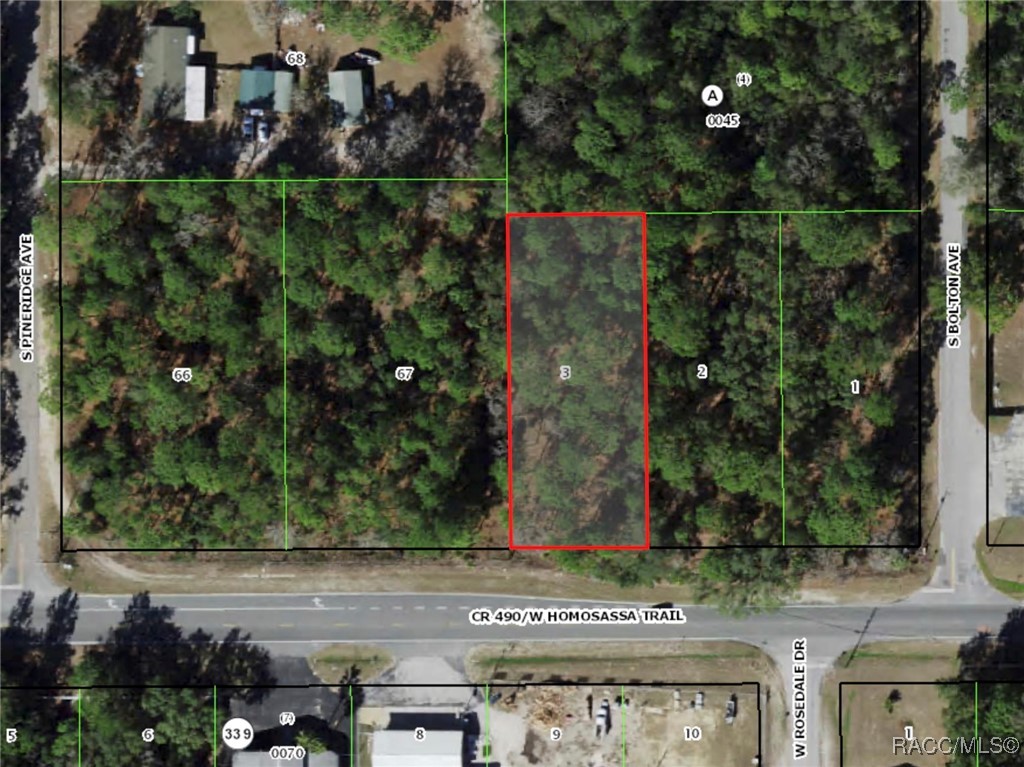 6485 W Homosassa Trail, Homosassa, New York image 4