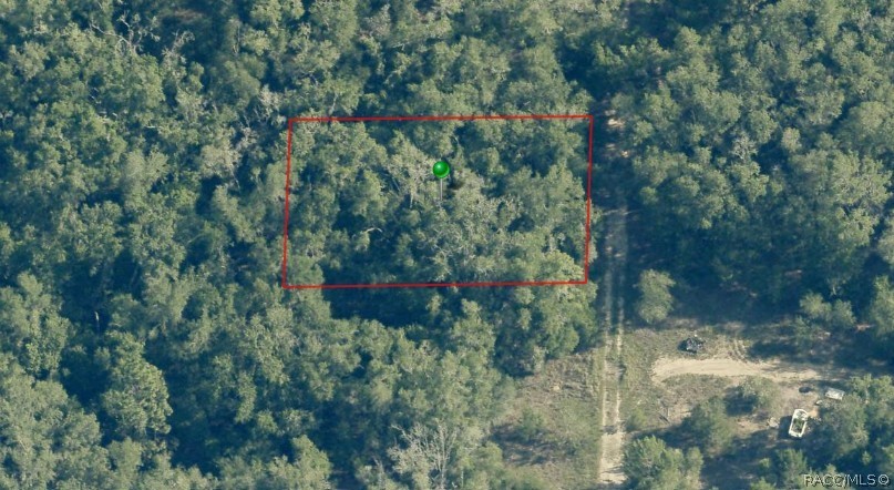 Photo 1 of 5 — 703 Dalwood Avenue, Inverness, FL 34453