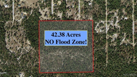 Vacant Land For Sale - 6496 N Bernzott Point<br/> Dunnellon, FL 34433
