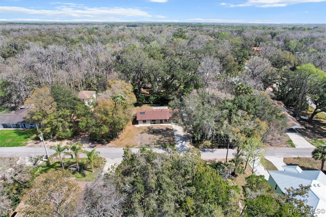 3617 N Hiawatha Terrace, Crystal River, Florida image 47