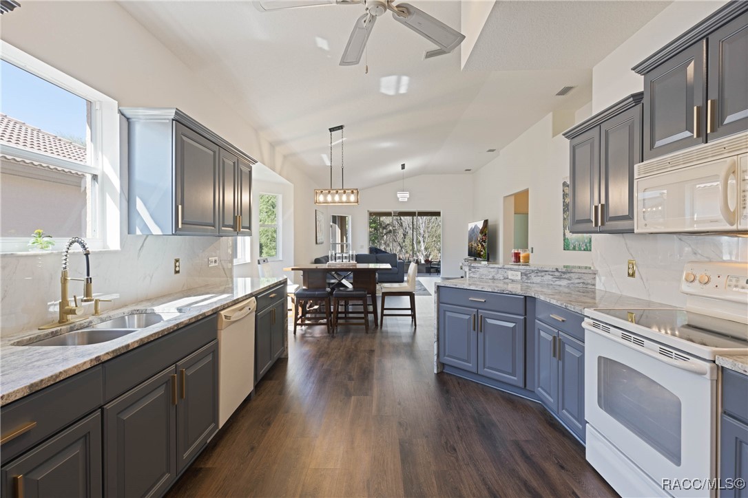 1203 W Diamond Shore Loop, Hernando, Florida image 10