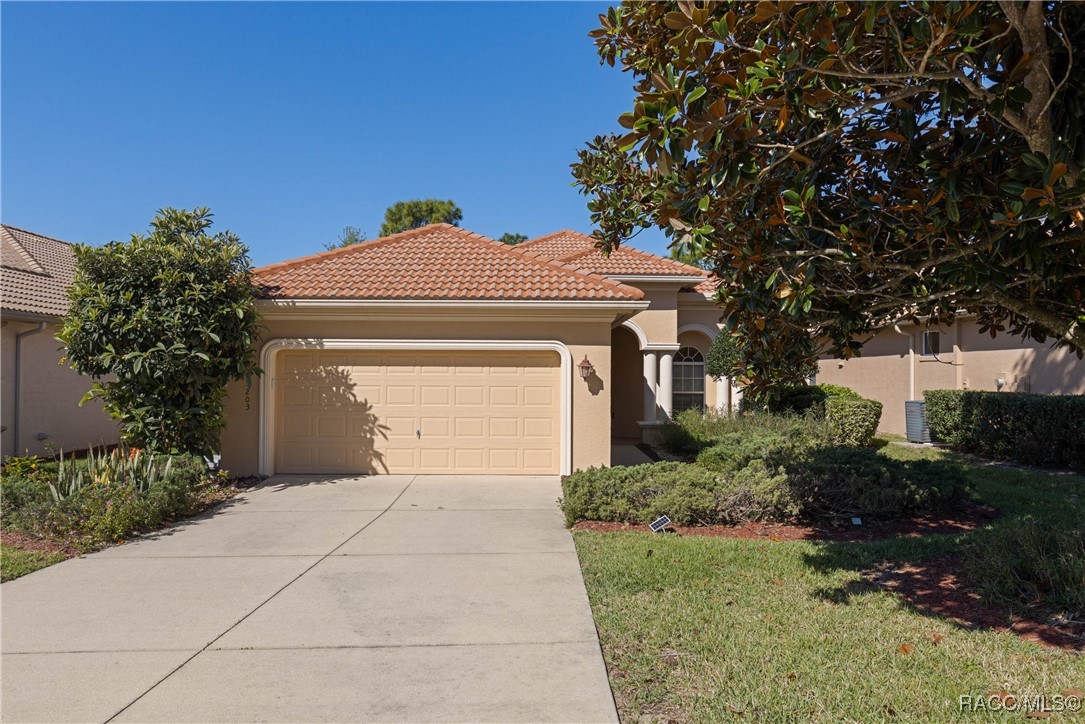 1203 W Diamond Shore Loop, Hernando, Florida image 2