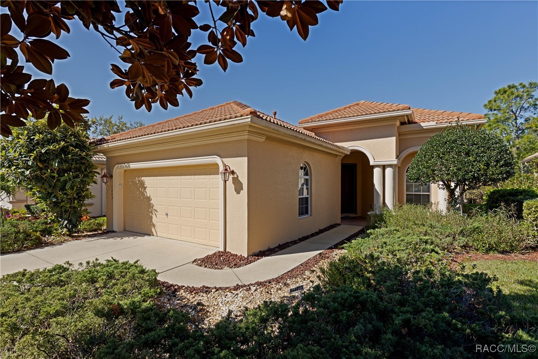 1203 W Diamond Shore Loop, Hernando, Florida image 1