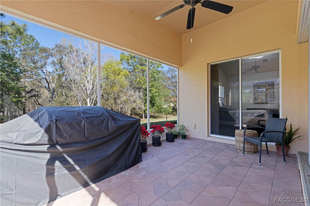 1203 W Diamond Shore Loop, Hernando, Florida image 22