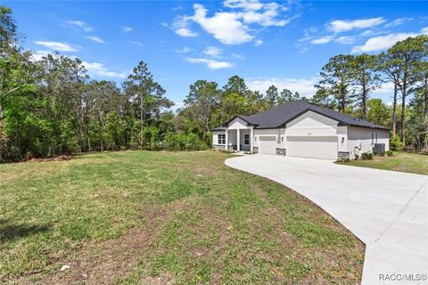 A home in Hernando