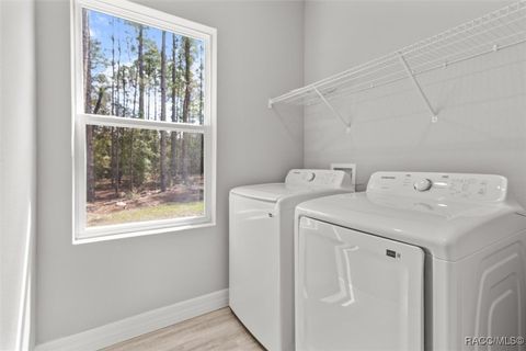A home in Hernando