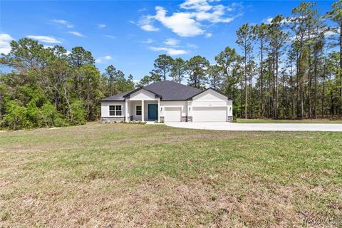 A home in Hernando