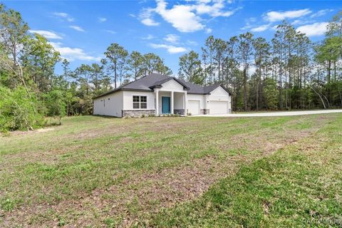 A home in Hernando