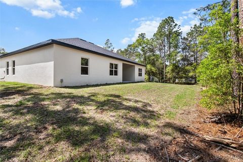 A home in Hernando