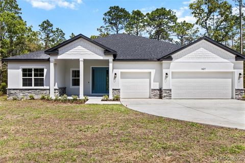 A home in Hernando
