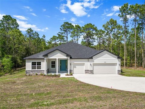 A home in Hernando