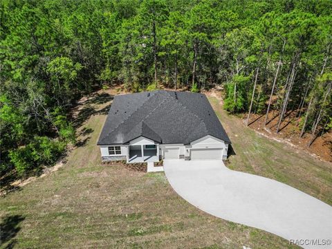 A home in Hernando