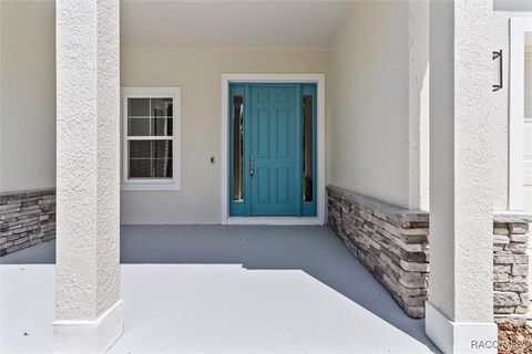 A home in Hernando