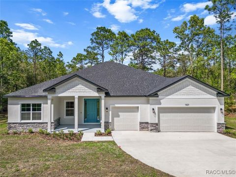 A home in Hernando