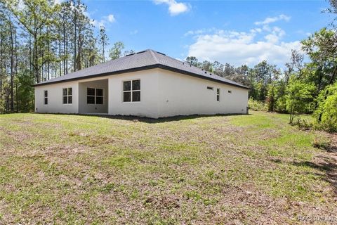A home in Hernando
