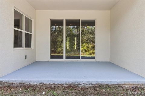 A home in Hernando