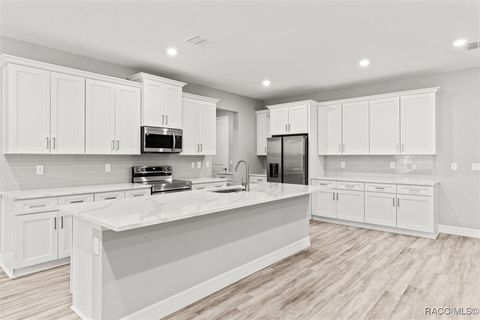 A home in Hernando