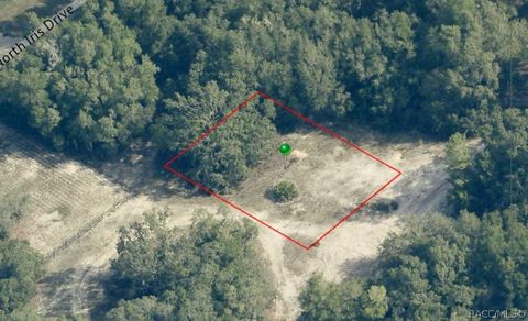 Vacant Land For Sale - 6482 N Bluebonnet Drive<br/> Citrus County, Hernando, FL 34442