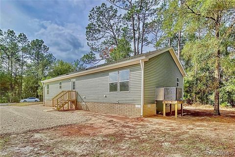 A home in Homosassa