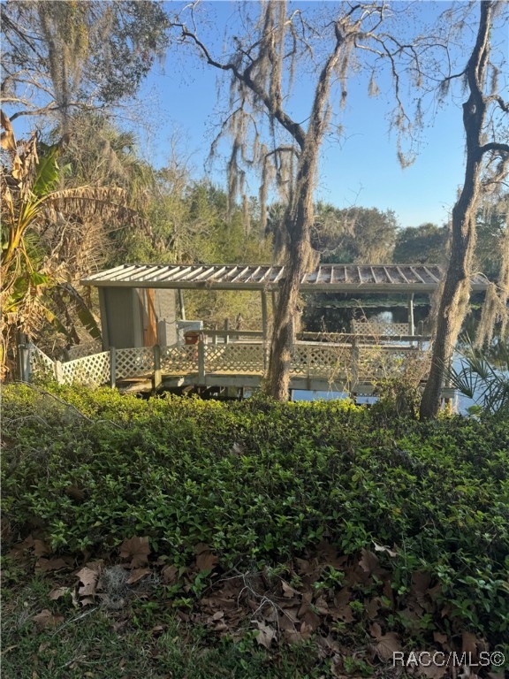 8438 E Cresco Lane, Inverness, Florida image 3