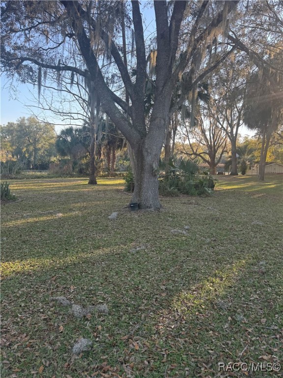 8438 E Cresco Lane, Inverness, Florida image 5