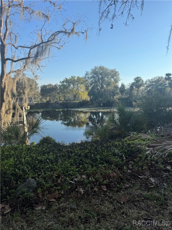 8438 E Cresco Lane, Inverness, Florida image 2