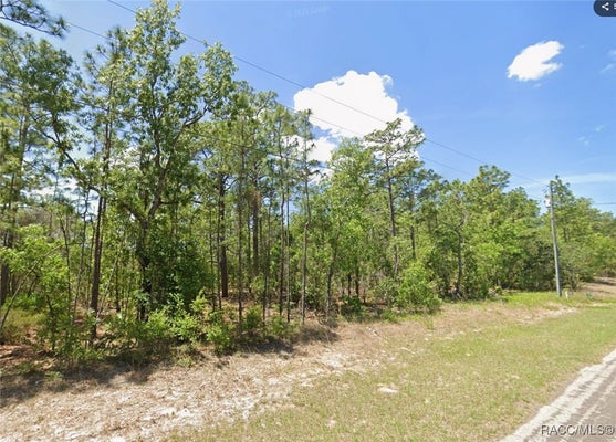 4151 N HATCHET CIR, BEVERLY HILLS, FL 34465 - Image b633bc3a7fad5e231b0b3fccc5ce5e20/3394634315