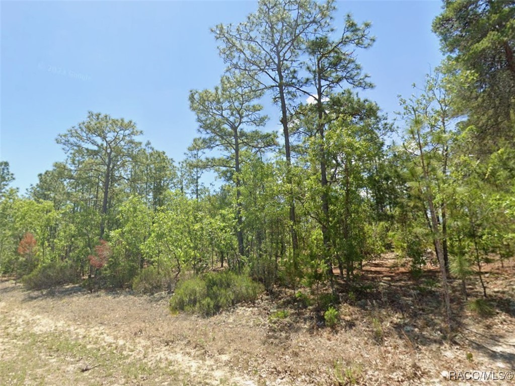 4151 N Hatchet Circle