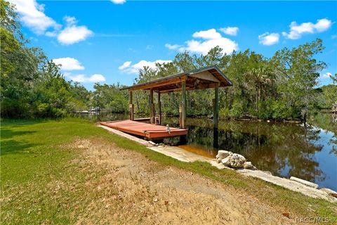 A home in Homosassa