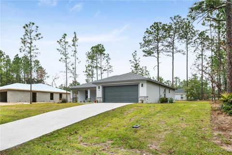 A home in Citrus Springs